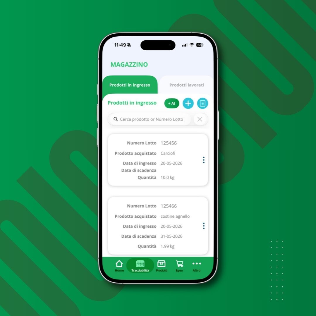 Mobile app screen titled MAGAZZINO showing product entries with lotto numbers and quantities on a green-themed interface.