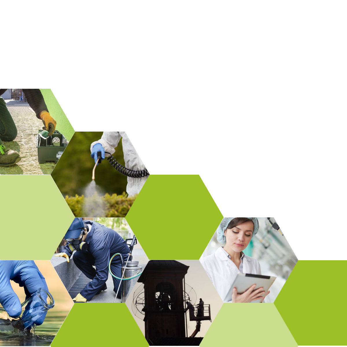 Hexagonal collage showing workers in safety gear performing environmental services (spraying, fieldwork, lab work) amid green shapes.